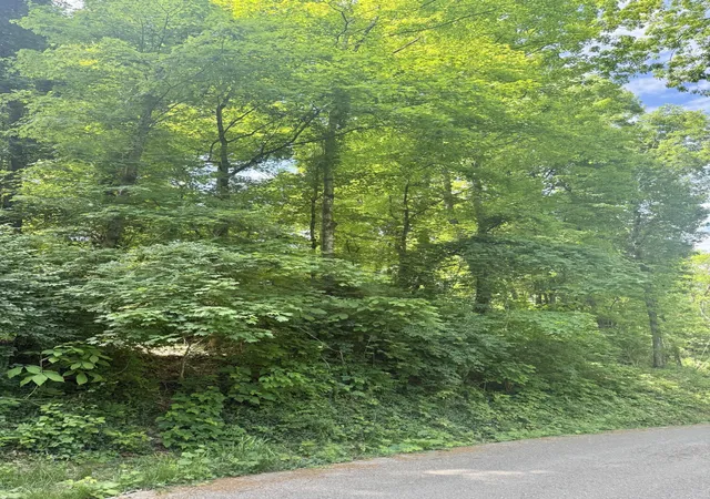 Photo 4 of Land for sale at 616 Reads Lake Rd, Chattanooga, TN 37415 | MLS# 1537488 | Listing updated on 2026-06-26
