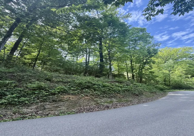 Photo 6 of Land for sale at 616 Reads Lake Rd, Chattanooga, TN 37415 | MLS# 1537488 | Listing updated on 2026-06-26