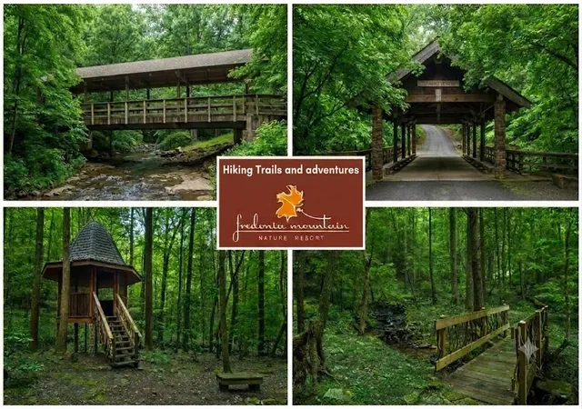 Homes for sale in Dunlap, TN | 151 Autumn Wy, Dunlap, TN 37327 | MLS# 1538310