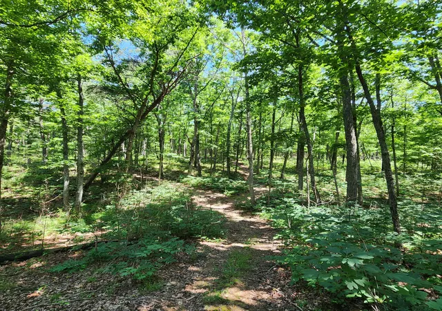 Homes for sale in Monteagle, TN | 0 Eagle Point Dr #22, Monteagle, TN 37356 | MLS# 1537512
