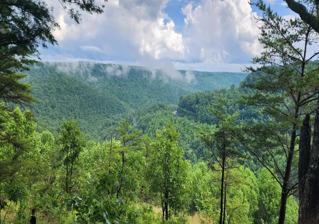 Homes for sale in Monteagle, TN | 0 Eagle Point Dr #22, Monteagle, TN 37356 | MLS# 1537512