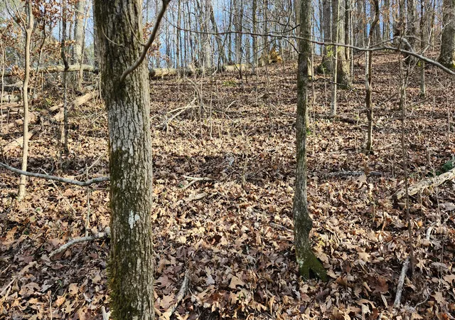 Homes for sale in Jasper, TN | 0 Rector Rd #11.5 Ac, Jasper, TN 37347 | MLS# 1538473