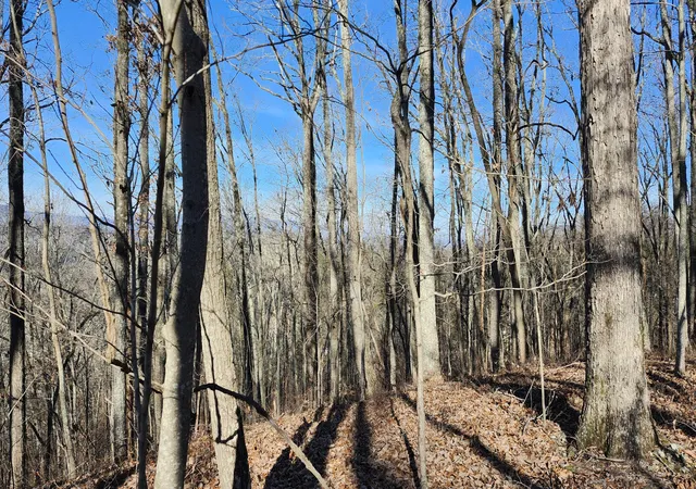 Photo 3 of Land for sale at 0 Rector Rd, Jasper, TN 37347 | MLS# 1538473 | Listing updated on 2026-07-10