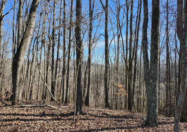 Photo 3 of Land for sale at 0 Rector Rd, Jasper, TN 37347 | MLS# 1538473 | Listing updated on 2026-07-10