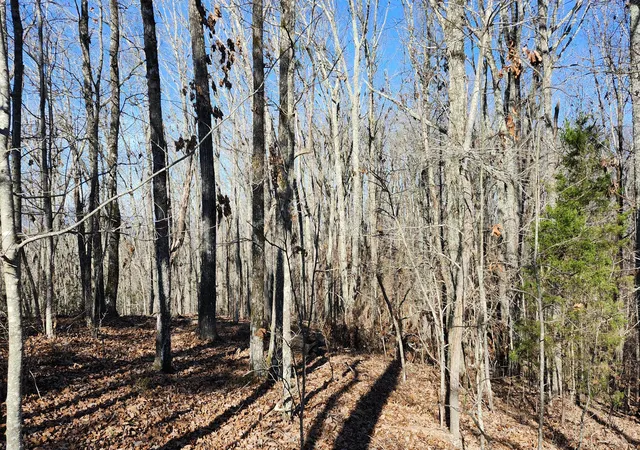 Photo 4 of Land for sale at 0 Rector Rd, Jasper, TN 37347 | MLS# 1538473 | Listing updated on 2026-07-10