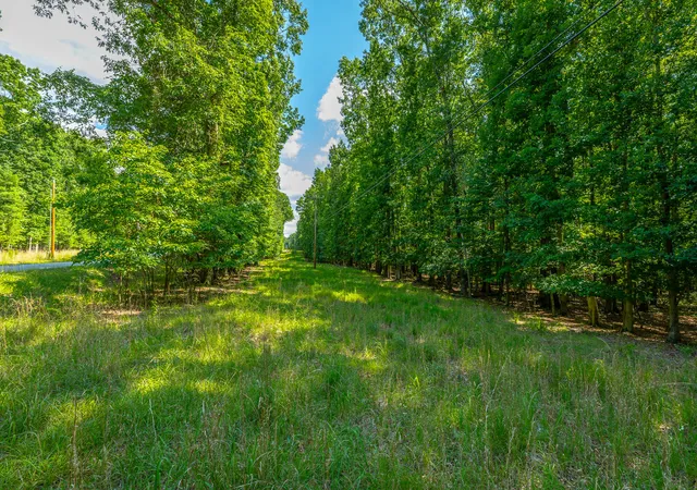 Homes for sale in Sewanee, TN | 0 Deep Woods Rd, Sewanee, TN 37375 | MLS# 1537671