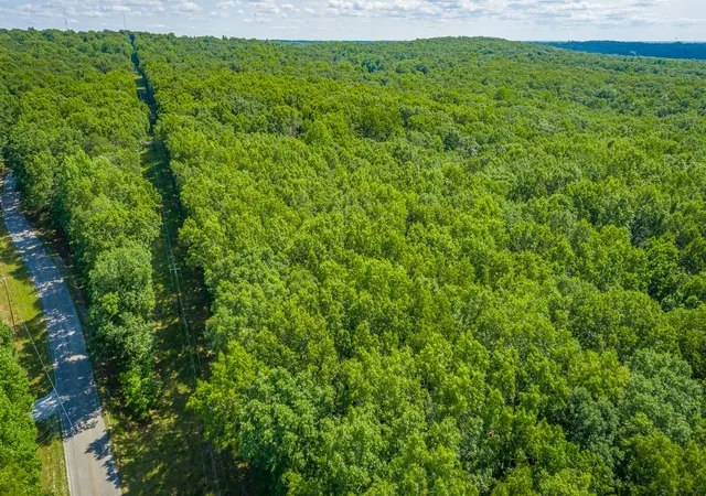 Homes for sale in Sewanee, TN | 0 Deep Woods Rd, Sewanee, TN 37375 | MLS# 1537671
