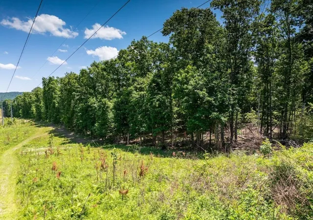 Photo 3 of Sale Pending at 7 Dunwoody Rd, La Fayette, GA 30728 | MLS# 1537700 | Listing updated on 2026-09-30