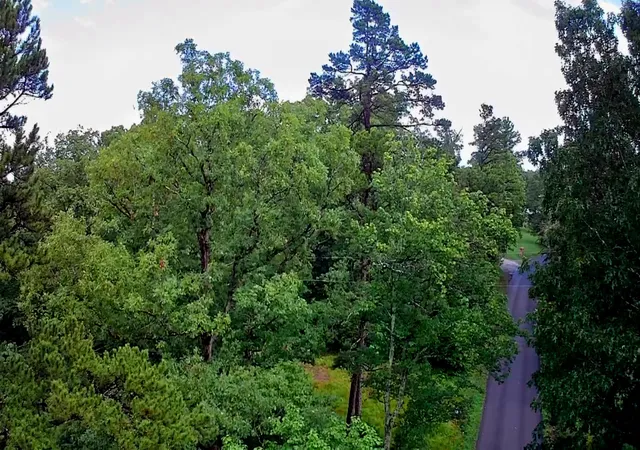 1st image of 381 Patton School Rd #01, South Pittsburg, TN 37380 | MLS# 1538624