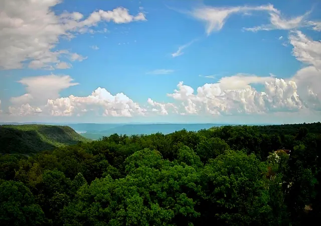 2nd image of 381 Patton School Rd #01, South Pittsburg, TN 37380 | MLS# 1538624