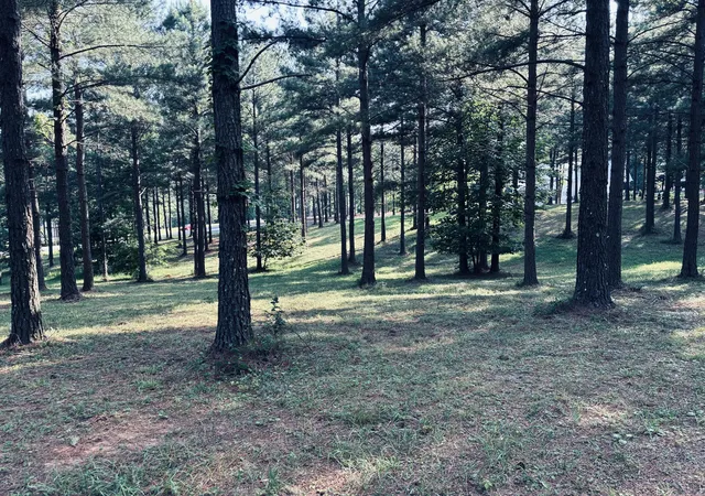 Photo 3 of Land for sale at 000 Raulston Fls Rd #Sv-329, Jasper, TN 37347 | MLS# 1537909 | Listing updated on 2026-09-24