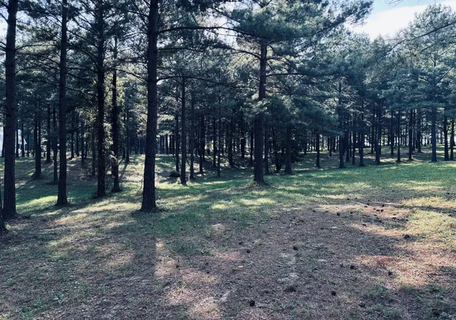 Photo 3 of Land for sale at 000 Raulston Fls Rd #Sv-329, Jasper, TN 37347 | MLS# 1537909 | Listing updated on 2026-09-24