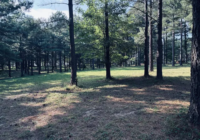 Photo 4 of Land for sale at 000 Raulston Fls Rd #Sv-329, Jasper, TN 37347 | MLS# 1537909 | Listing updated on 2026-09-24