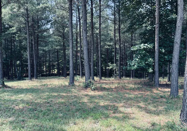 Photo 3 of Land for sale at 1711 Raulston Fls Rd, Jasper, TN 37347 | MLS# 1538061 | Listing updated on 2026-09-22