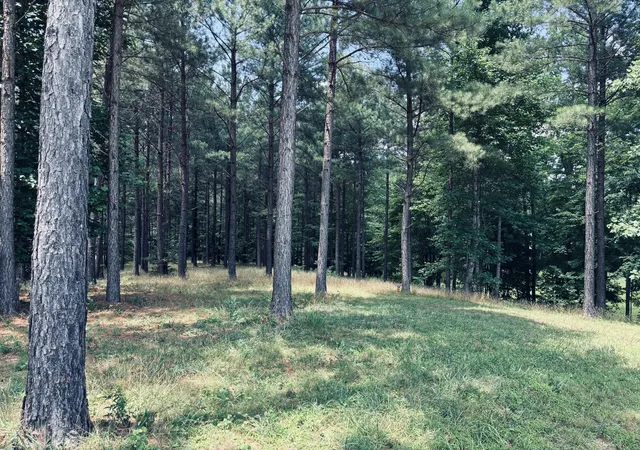 Photo 4 of Land for sale at 1711 Raulston Fls Rd, Jasper, TN 37347 | MLS# 1538061 | Listing updated on 2026-09-22
