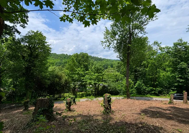 Photo 5 of Land for sale at 456 Red Oak Dr, Chattanooga, TN 37415 | MLS# 1538023 | Listing updated on 2026-07-04