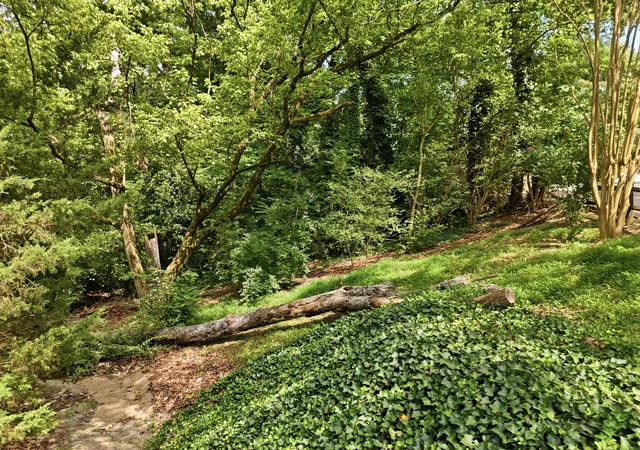 5th image of 0 Mountain Wood Ln, Hixson, TN 37343 | MLS# 1538257