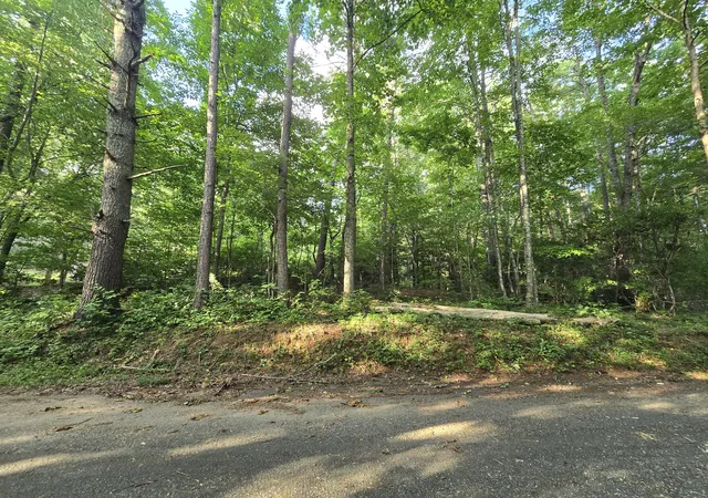 1st image of 000 Colwell Church Rd, Epworth, GA 30541 | MLS# 1538081