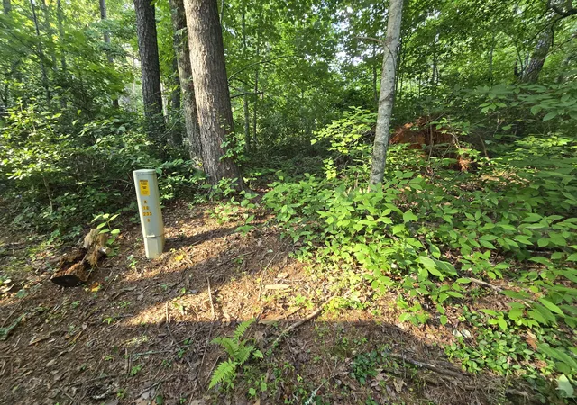 2nd image of 000 Colwell Church Rd, Epworth, GA 30541 | MLS# 1538081