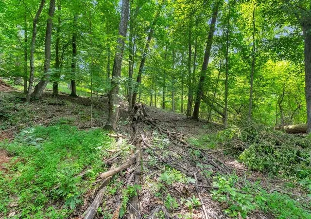 19th image of Lot 31&32 Cherokee Cir, Ten Mile, TN 37880 | MLS# 1538101