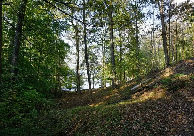 Photo 3 of Land for sale at Lot 31&32 Cherokee Cir, Ten Mile, TN 37880 | MLS# 1538101 | Listing updated on 2026-07-04