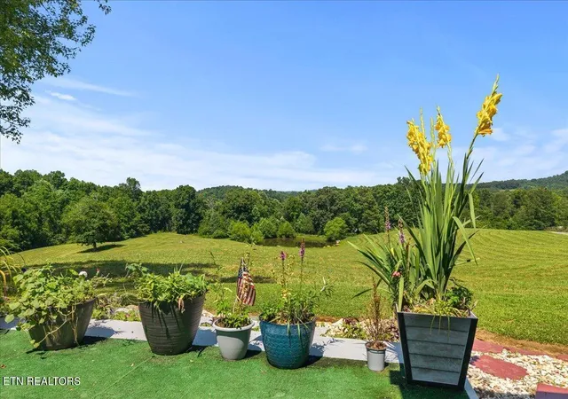 Homes for sale in Tellico Plains, TN | 910 Reagan Valley Rd, Tellico Plains, TN 37385 | MLS# 1538140
