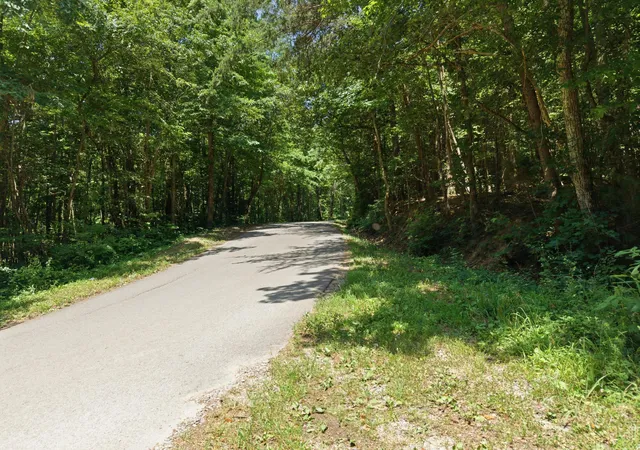 23rd image of 0 W Francis Springs Rd, Whitwell, TN 37397 | MLS# 1538181