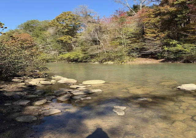 26th image of 3895 Coppinger Cove Rd, Sequatchie, TN 37374 | MLS# 1538174