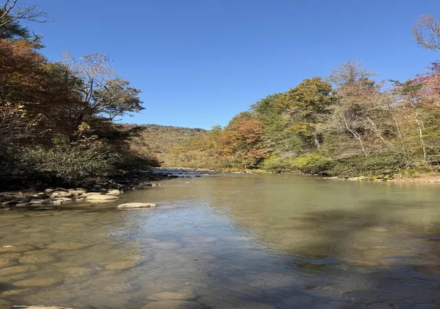 3rd image of 3895 Coppinger Cove Rd, Sequatchie, TN 37374 | MLS# 1538174