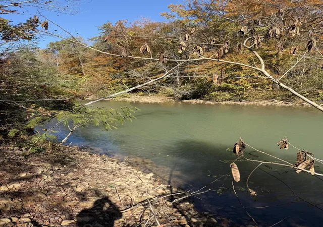 4th image of 3895 Coppinger Cove Rd, Sequatchie, TN 37374 | MLS# 1538174