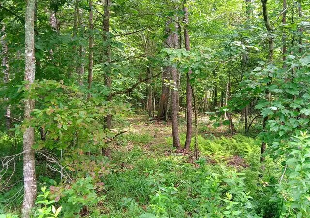 1st image of 76 Pine Rd #19, Pikeville, TN 37367 | MLS# 1538171