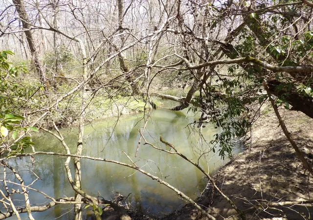 2nd image of 76 Pine Rd #19, Pikeville, TN 37367 | MLS# 1538171