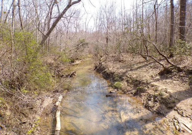 3rd image of 76 Pine Rd #19, Pikeville, TN 37367 | MLS# 1538171
