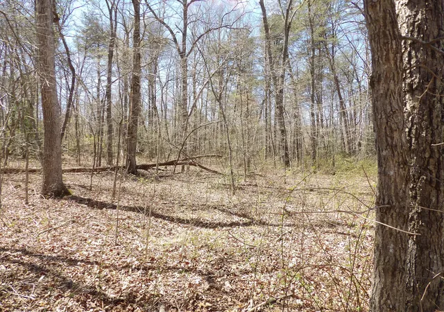 4th image of 76 Pine Rd #19, Pikeville, TN 37367 | MLS# 1538171