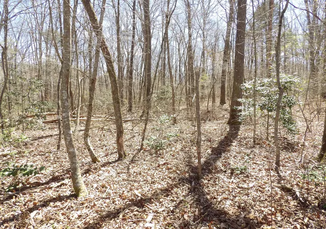 5th image of 76 Pine Rd #19, Pikeville, TN 37367 | MLS# 1538171