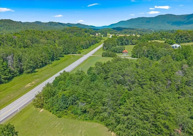 Homes for sale in Etowah, TN | 000 State Hwy 310, Etowah, TN 37331 | MLS# 1538170