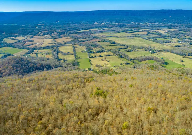 39th image of 1111 Ditch Gap Rd, Whitwell, TN 37397 | MLS# 1538268