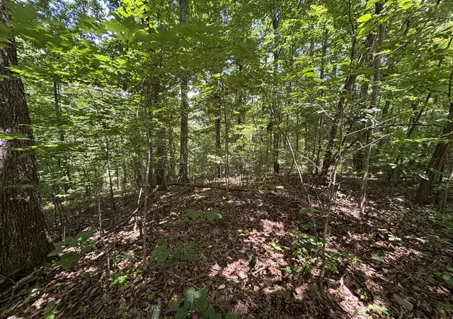 Homes for sale in Dayton, TN | 0 Sussex Rd, Dayton, TN 37321 | MLS# 1538333