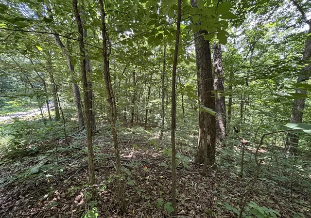 Homes for sale in Dayton, TN | 0 Sussex Rd, Dayton, TN 37321 | MLS# 1538333