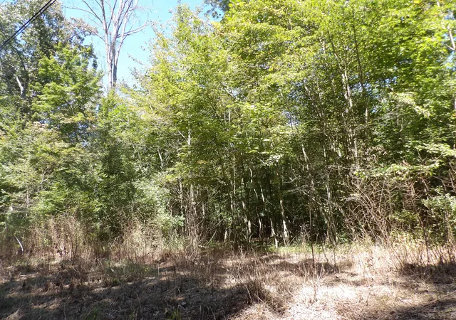 Photo 3 of Land for sale at 10 Summer City Rd, Evensville, TN 37332 | MLS# 1538377 | Listing updated on 2026-07-27