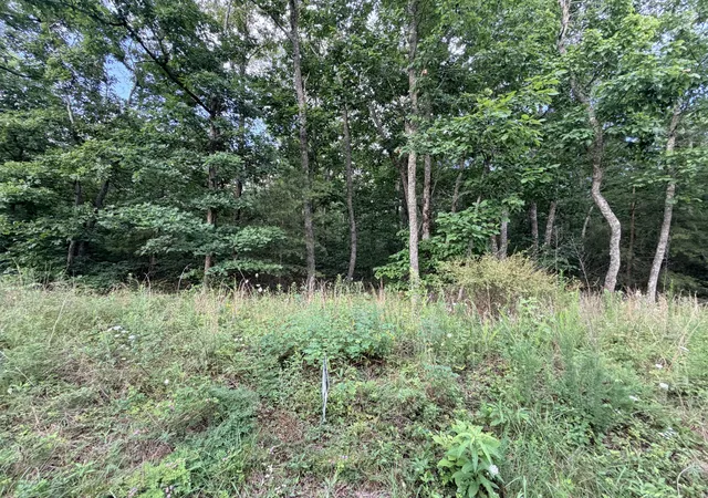 4th image of 00 Horizon Dr, Pikeville, TN 37367 | MLS# 1538543
