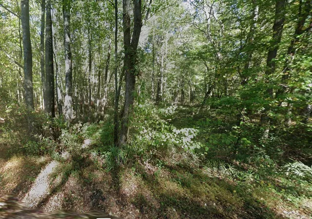 4th image of 0 Margarita Trl, Newnan, GA 30263 | MLS# 1538464