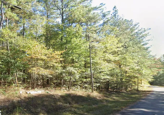5th image of 0 Margarita Trl, Newnan, GA 30263 | MLS# 1538464
