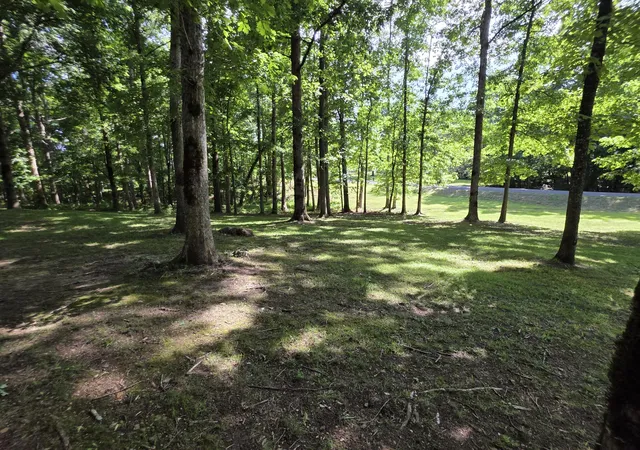 Photo 4 of Single family home for sale at 398 Armory Rd, Monteagle, TN 37356 | MLS# 1538657 | Listing updated on 2026-09-29