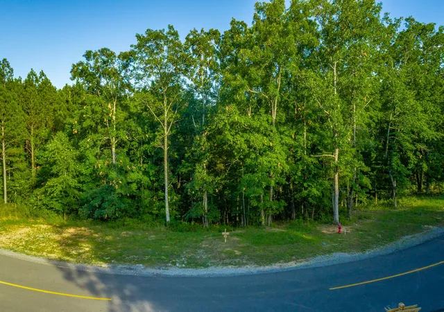 Photo 2 of Land for sale at 0 Moonlight Ln #Jf426, Jasper, TN 37347 | MLS# 1538533 | Listing updated on 2026-09-25