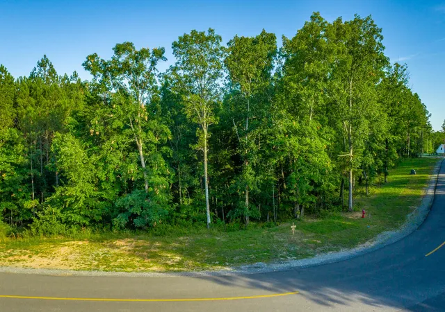Photo 3 of Land for sale at 0 Moonlight Ln #Jf426, Jasper, TN 37347 | MLS# 1538533 | Listing updated on 2026-09-25