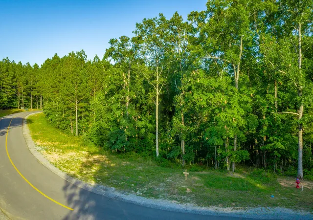 Photo 4 of Land for sale at 0 Moonlight Ln #Jf426, Jasper, TN 37347 | MLS# 1538533 | Listing updated on 2026-09-25