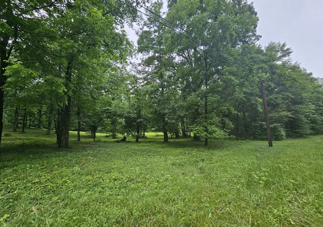 2nd image of 2411 Sr 56 Rd #1, Tracy City, TN 37387 | MLS# 1538587