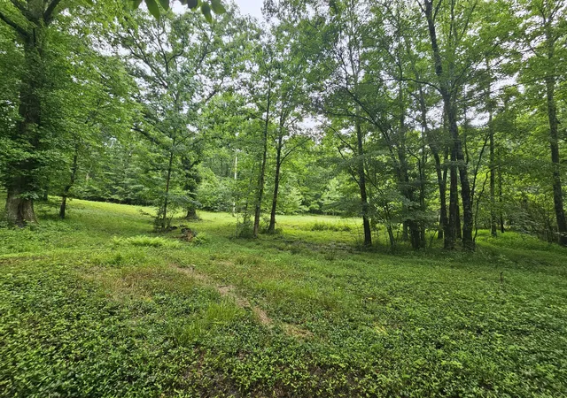 3rd image of 2411 Sr 56 Rd #1, Tracy City, TN 37387 | MLS# 1538587