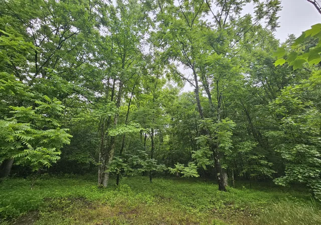 5th image of 2411 Sr 56 Rd #1, Tracy City, TN 37387 | MLS# 1538587